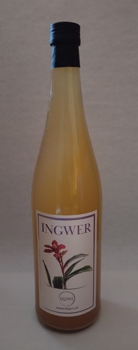 Ingwer